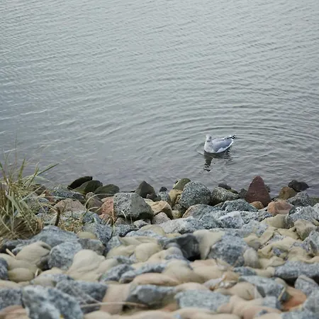 Binnendiek Haus 2 Deluxe-apartment 9